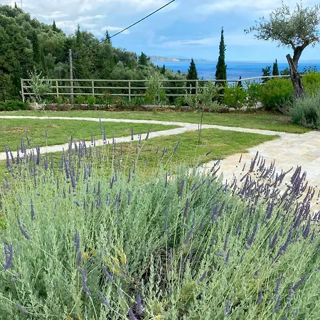 Paleopetres K-five - Premium Double - - *