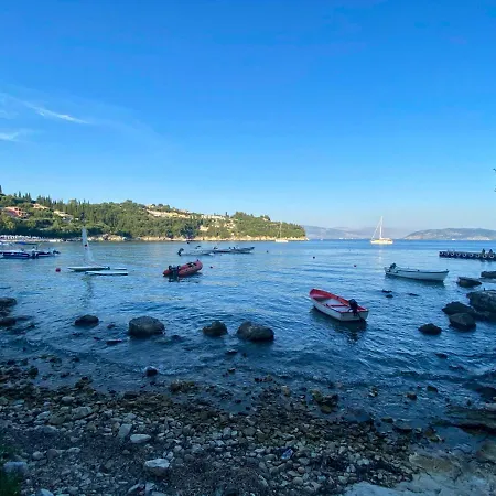 Paleopetres K-five - Premium Double - - Kalámi