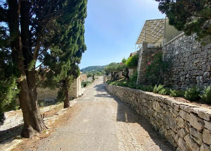 Paleopetres K-five - Premium Double - - *