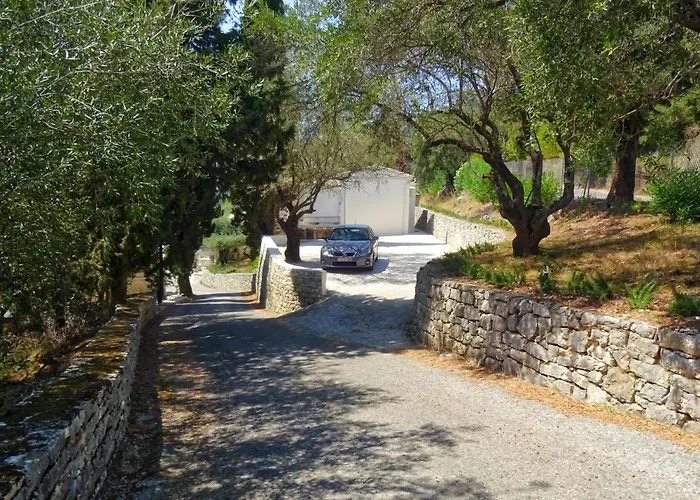 Paleopetres K-five - Premium Double - - Kalámi